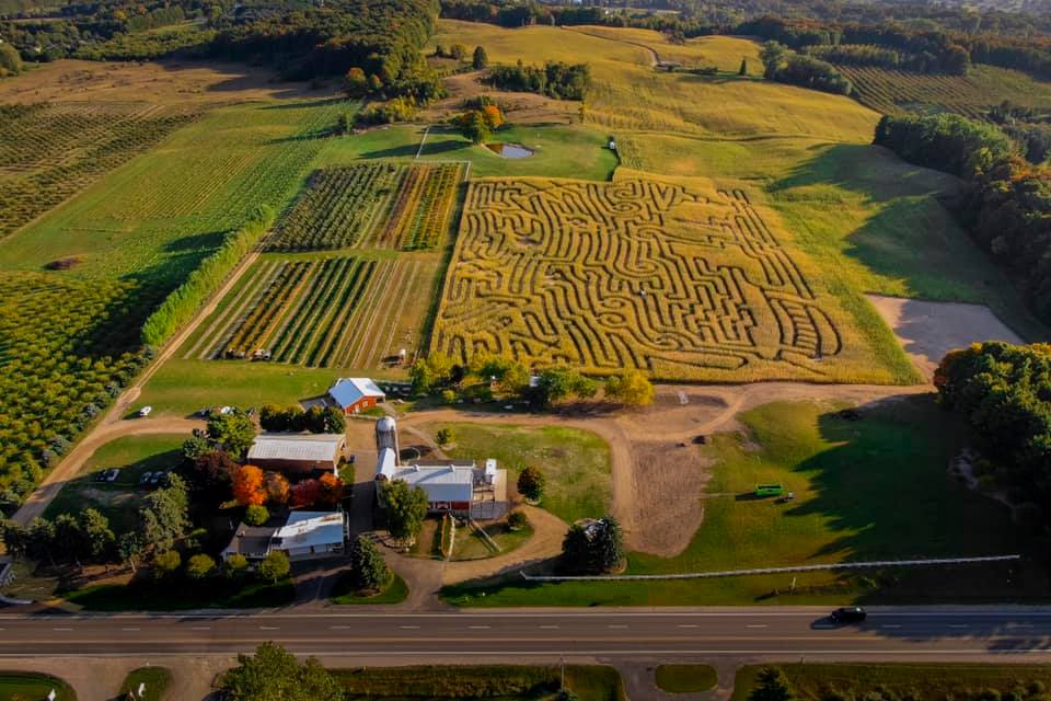 Jacob's Farm Corn Maze